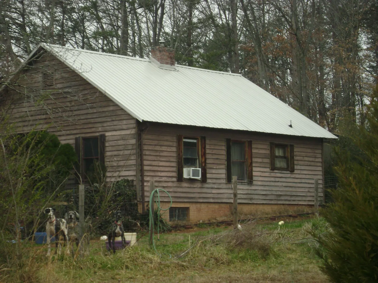White metal roof on an old wood sided farmhouse, from a Asphalt Shingle Roof Repair job in Lovejoy